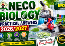 NECO Biology Practical Answers 2026/2027