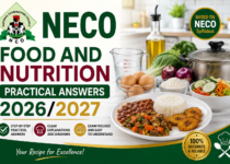 NECO Hausa Answers (Objective & Essay) 2026/2027